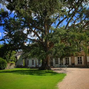 Maisons d'hotes Domaine Saint-Hilaire : photos des chambres