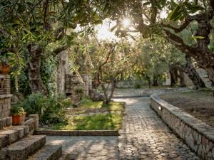 Leeda's Village 300m from the beach Zakynthos Greece