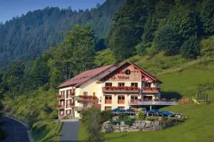 Logis Hôtel Le Vétiné - Le Valtin