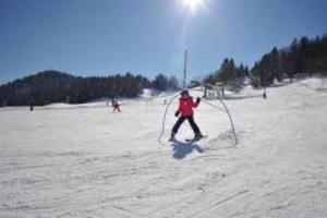 Appartements Superbe T3 neuf en bord de riviere pres d'Annecy : photos des chambres