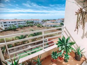 Plant Paradise Apartment