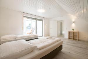 Tolstov House - Freistehendes 9 Zimmer Haus mit großem Garten