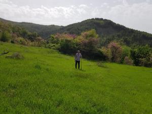 Vila Sofia Gllava - Resort