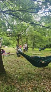 Different Belgrade camping