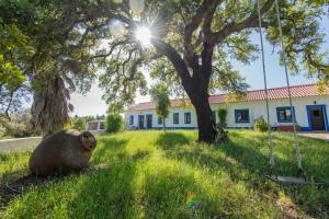 Deluxe Double Room (2 Adults + 1 Child) room in Suite - Herdade alentejana em Sines by iZiBookings