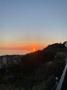 LUlivo Sul Mare