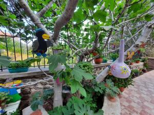 Anemona Apartment Lesvos Greece