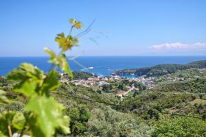 Angel Suite Alonissos Greece