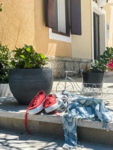 Apartments Borghetto