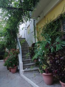 "Eirini" traditional house Creta Archanes, Αρχάνες σπίτι