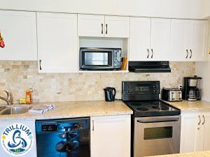 Blue Mountain Suites