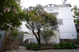 Hospedagem Dona Rosalina