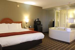 King Suite with Whirlpool - Non-Smoking room in Comfort Inn University Center
