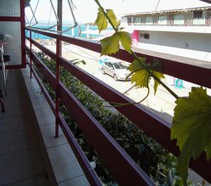 Diamanto Rooms Evia Greece