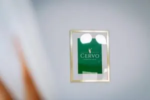 CERVO Mountain House - 内霍瓦