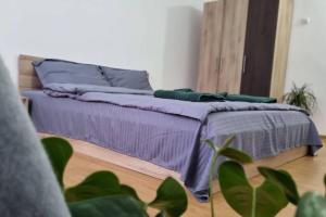 Cervo Mountain House