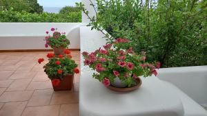 Agriturismo SoleMare