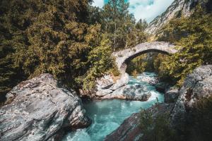 Appartements Le Paradis du Diable 6 pers 40m2 pied des pistes et du telesiege du diable : photos des chambres