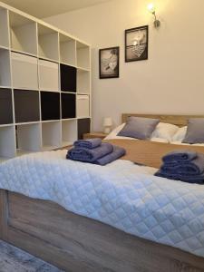 Apartament Cicha Woda