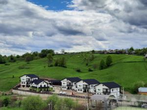 Sat de Vacanta Martisorul Cacica