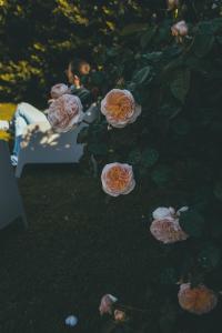 Dimora Santo Stefano