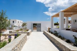 Drios Luxury Studios Paros Greece