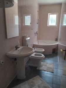 Apartment with Balcony room in Apartments Lord