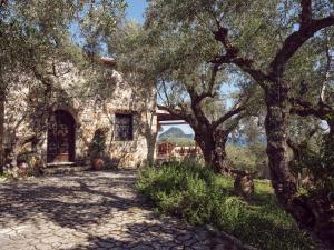 Leeda's Village 300m from the beach Zakynthos Greece