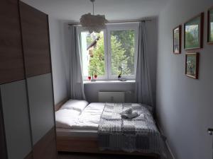 Apartament Aleksandra