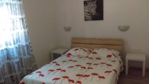Apartmani Avi 
