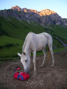 Ferienwohnungen Kerber