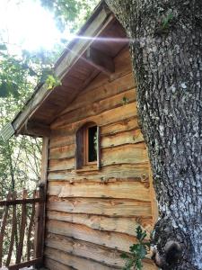 Maisons de vacances O Bois Dormant : photos des chambres