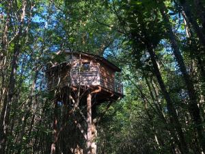 Maisons de vacances O Bois Dormant : photos des chambres