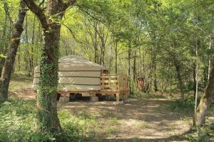 Maisons de vacances O Bois Dormant : photos des chambres