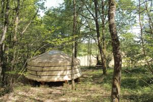 Maisons de vacances O Bois Dormant : photos des chambres
