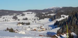 Chalets L etincelle du Manon : photos des chambres