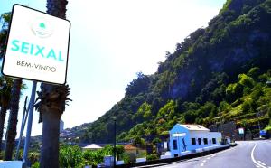 Lazy Lizard by the Ocean