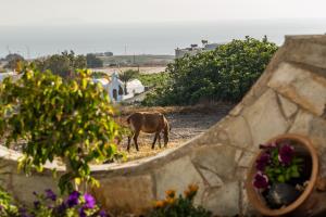 Stavros Villas Santorini Greece