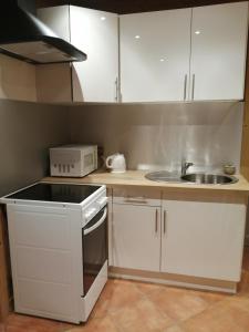 Appartements Chalet Au Pont de Flon : Appartement 1 Chambre