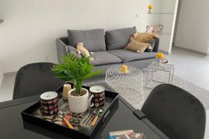 Le Sunshine - Terrasse et clim