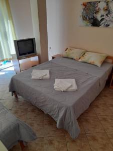 BATO Rooms