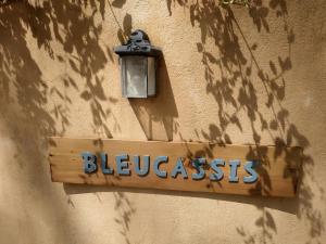 Maisons d'hotes Villa Bleucassis : photos des chambres