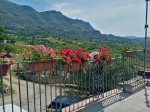 Agriturismo Tre Morene