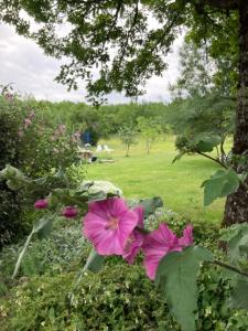 Maisons de vacances Les fontanelles du quercy blanc : photos des chambres