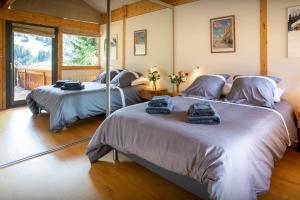 Chalets Chalet Musini - OVO Network : photos des chambres