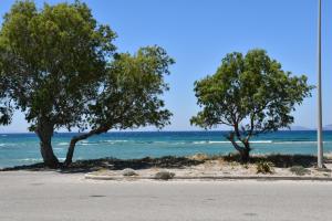 1-Bedroom Kos Olympia Apartment at Lambi Beach