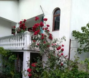 Apartman Sunce - Gaćelezi