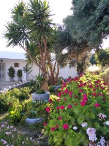 Golden Sun Apartments