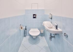 LH Parkhotel Hluboka Nad Vltavou Congress & Wellness