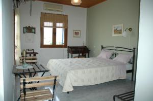 Elenis Olive green Studio Lesvos Greece